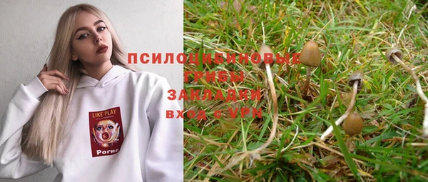 прущая мука Абдулино