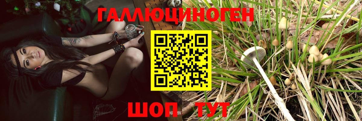 Каменка  Псилоцибиновые грибы Psilocybe  Галлюциногенные грибы мицелий  Вход с VPN 