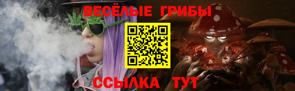 Галлюциногенные грибы мицелий Каменка